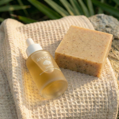 imagen_kit_lumina_arvore_vista_desde_la_izquierda_paneo_general